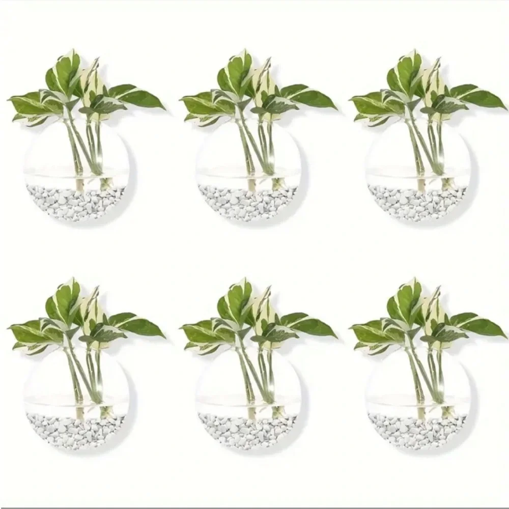 🌿 6 Pc Set of Glass Wall Planter Bowls Brighten Up Your Room 🌾🪴🎋🍃